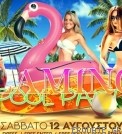 Flamingo Pool Party @ c4c